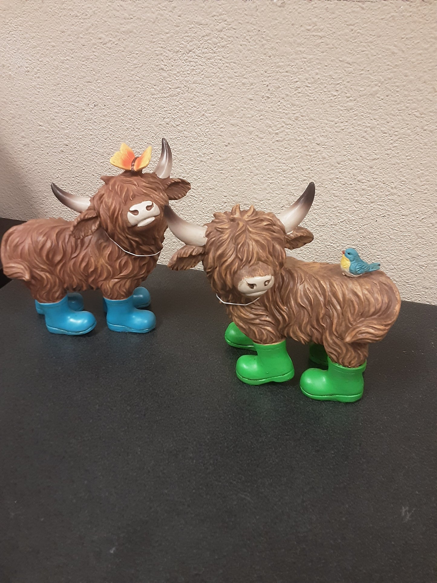 Rainy Day Highland Cow